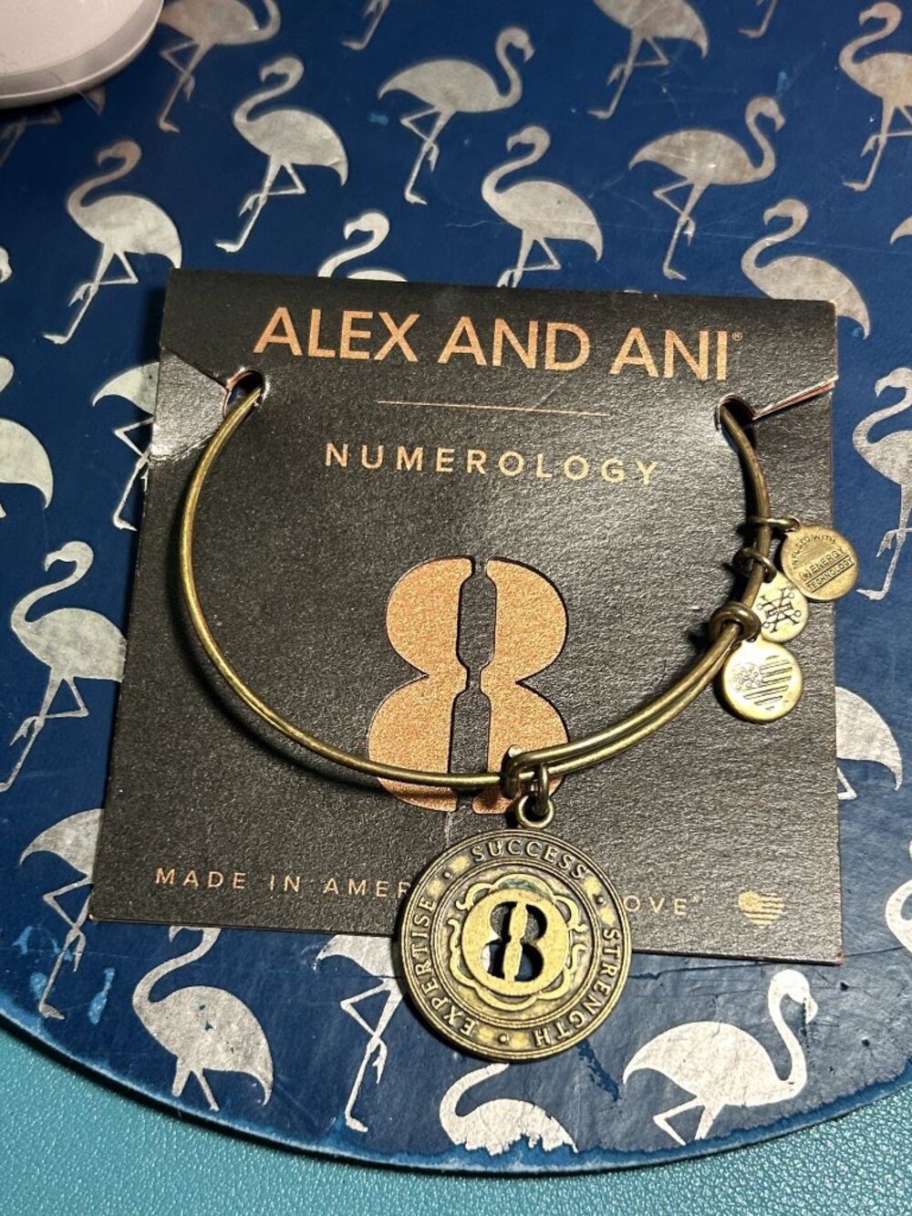 Alex and Ani Numerology 8 Charm Bangle Bracelet